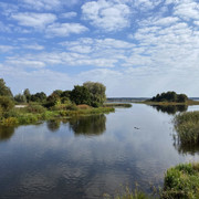 IMG-0517