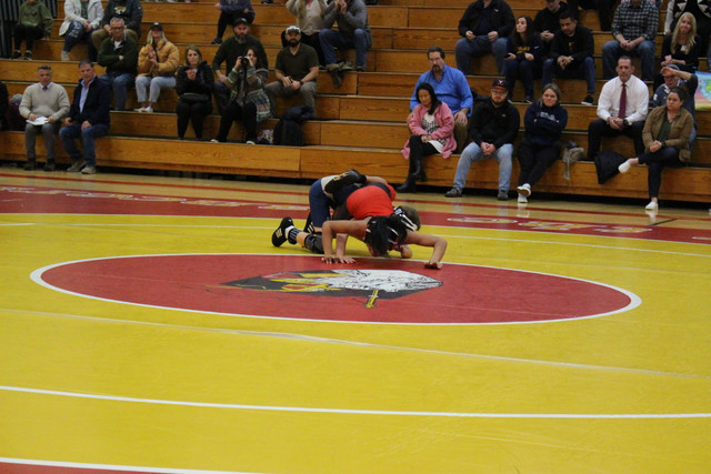 IMG-0076