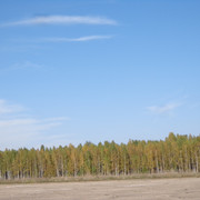 DSC01186