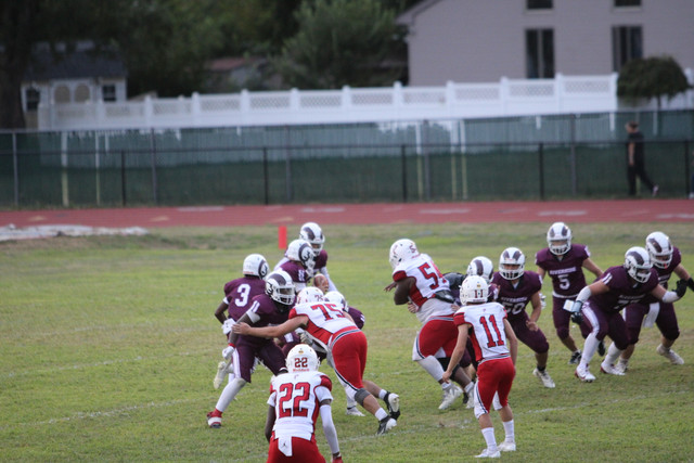 IMG-2989.jpg