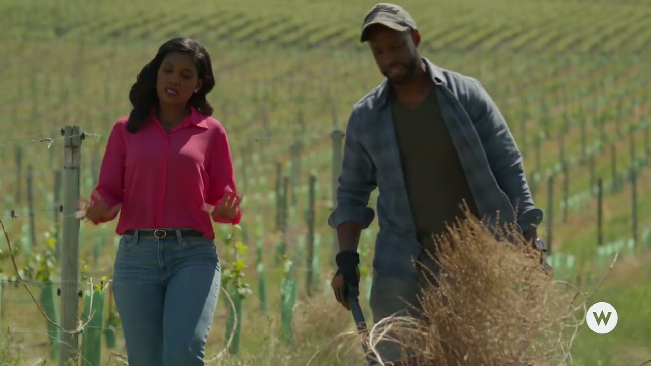 Napa Ever After Screenshot