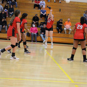 IMG-0334