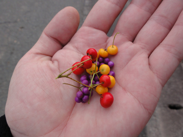 2011-10-28-054.jpg