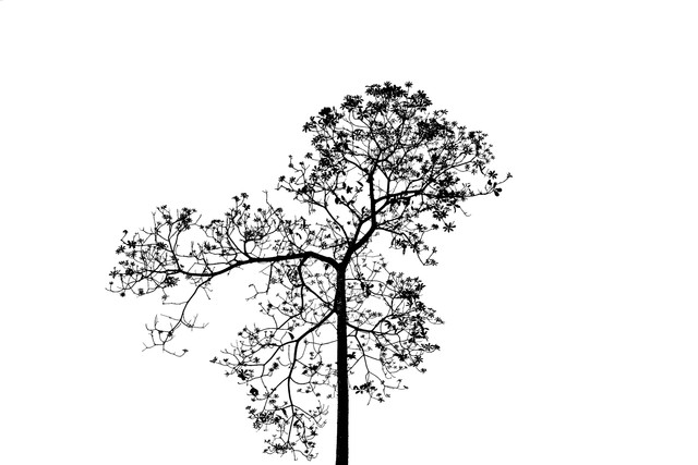 shutterstock 655903846