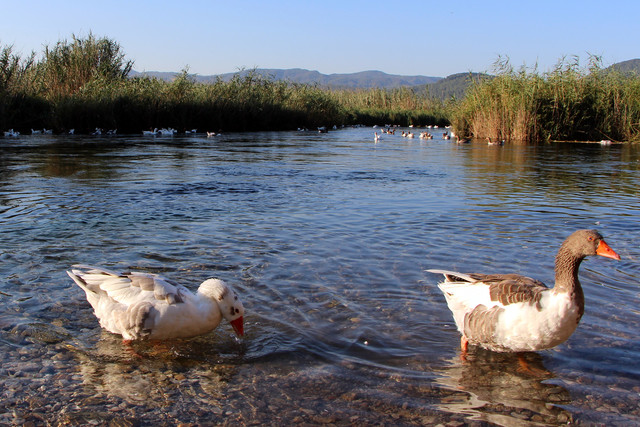 mugla-11