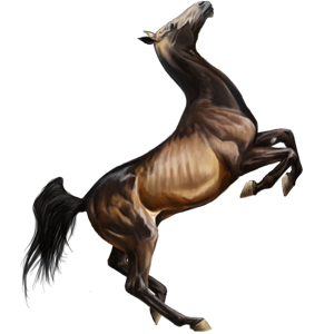100015903-normal.png