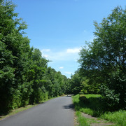 P1330901