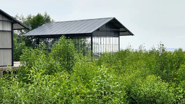 Kukup6.webp