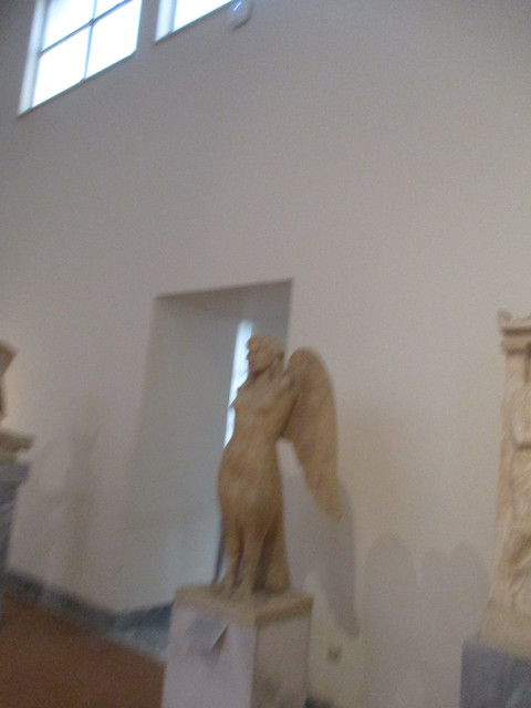 IMG-7307