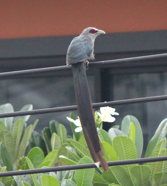 IMG 2563.jpg