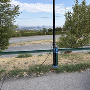 IMG 3319
