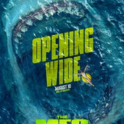 Poster 85