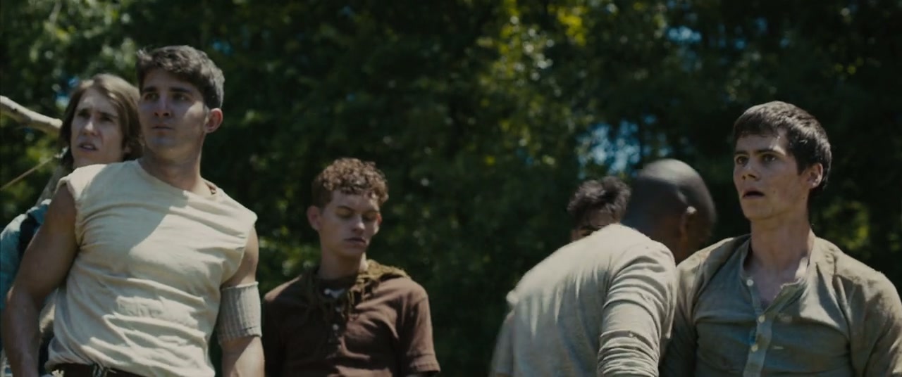 The Maze Runner Screenshot