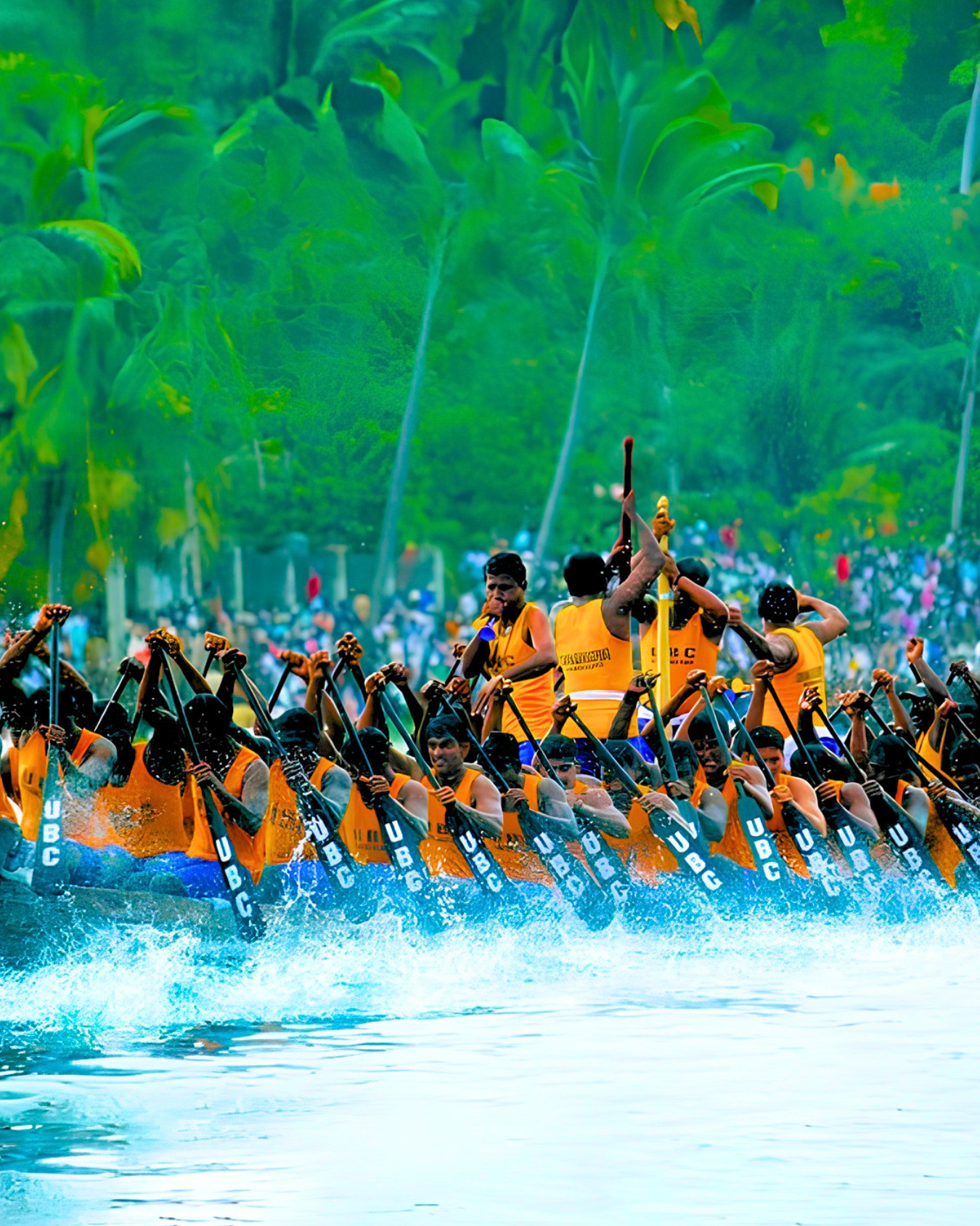 Royal Snake Boat Race