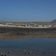 DSCF8342