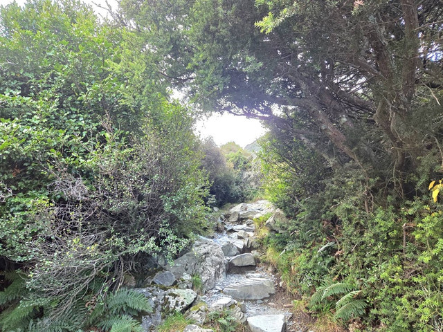 59.jpg