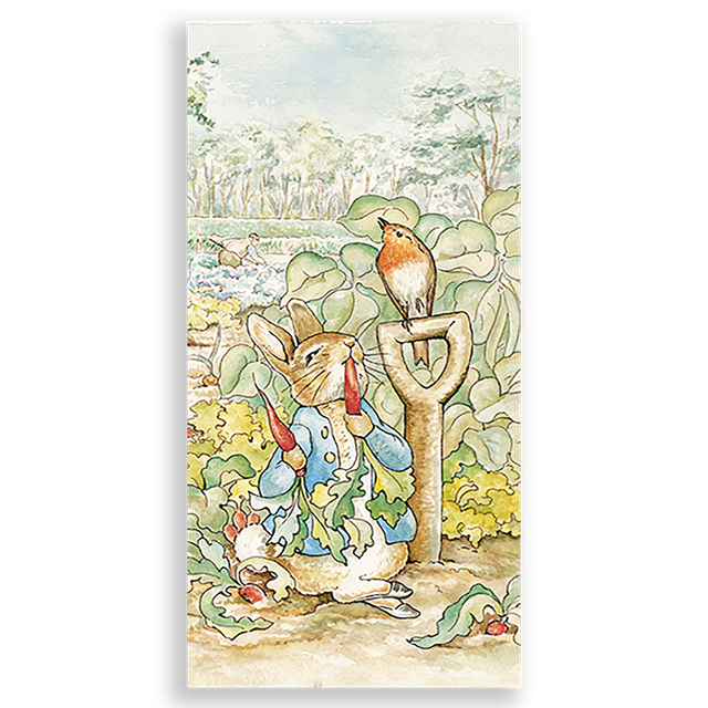 31001493-Peter-Rabbit-Ana