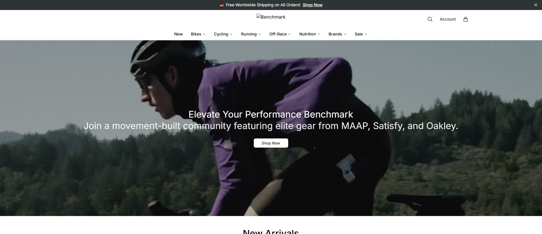 Stored capture of benchmarkhq.shop