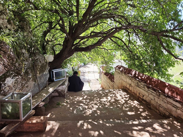 46.jpg