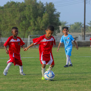 IMG 7683