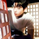 cha eun woo 1395935