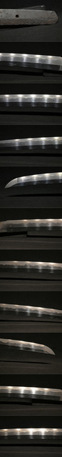 DSC8123.jpg