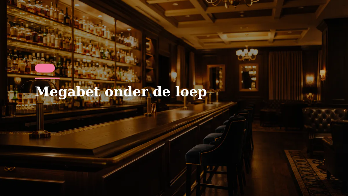 Megabet onder de loep