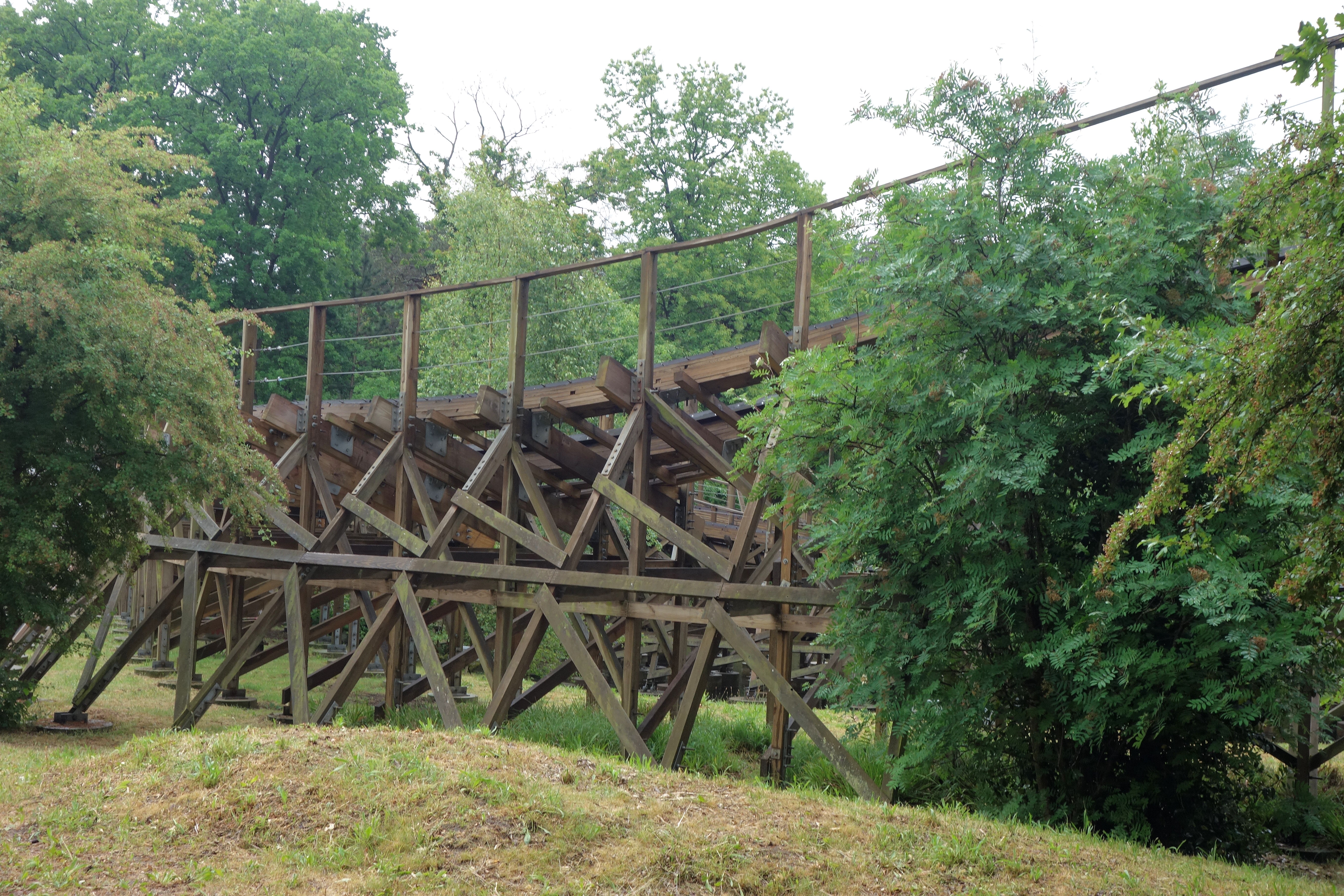 DSC09595