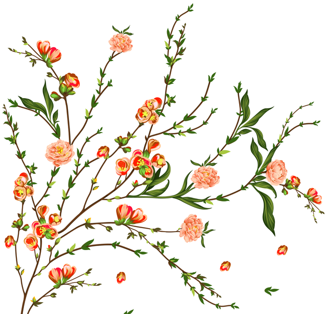 870727e4a15353a29c29068dacfeaeae.png