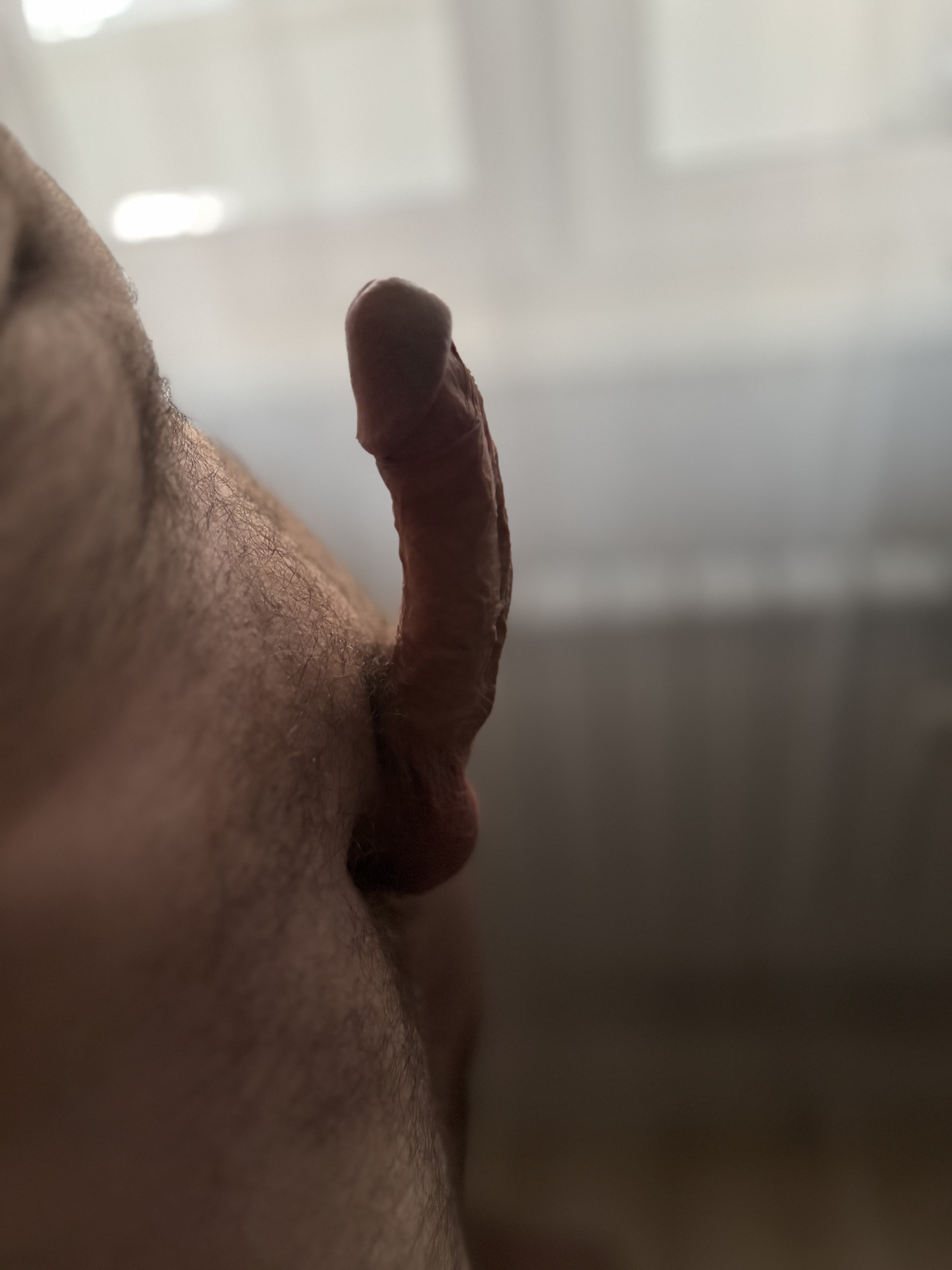 IMG-0907.jpg