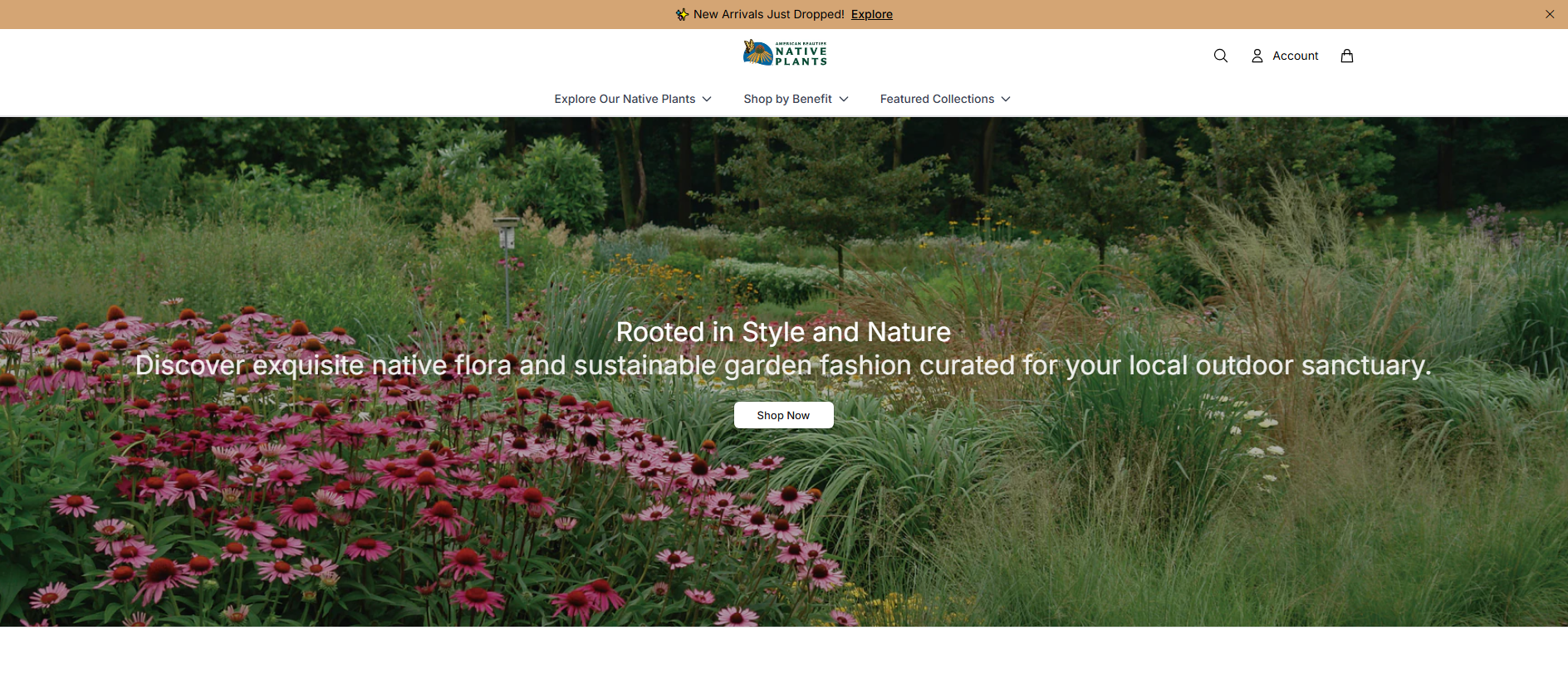 Stored capture of americanbeautiesnativeplantshq.shop