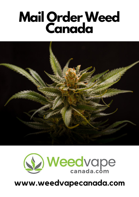 Main-Order-Weed-Canada-28.png