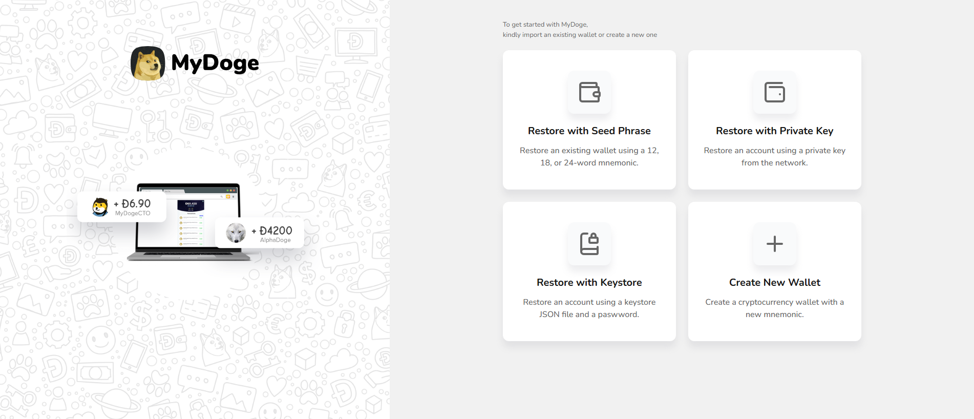 Stored capture of mydogewallet.app