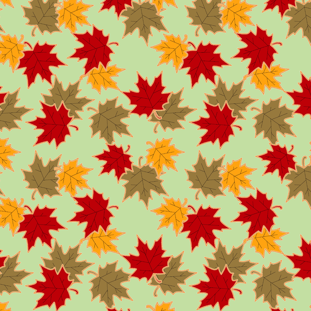 1256 C.png
