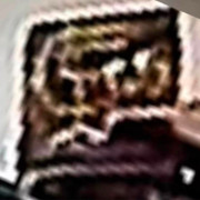 IMG 1089