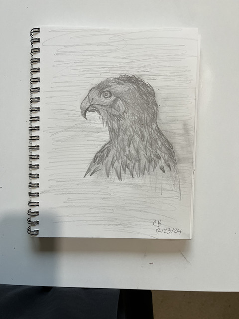 hawk