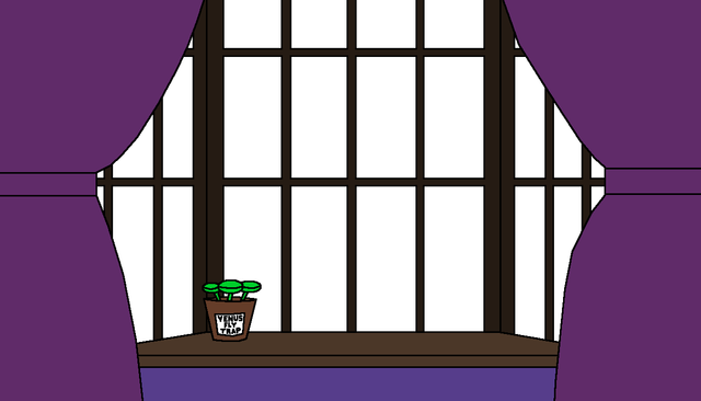 window 1