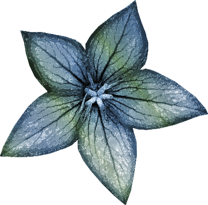 Element44.png