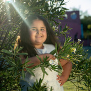 DSC3062