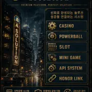 casinosolution information