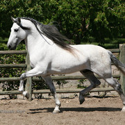 encantada