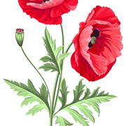 12ce9f424ca2d7bbc9fca3b8e58d5e3b