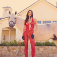 maison22