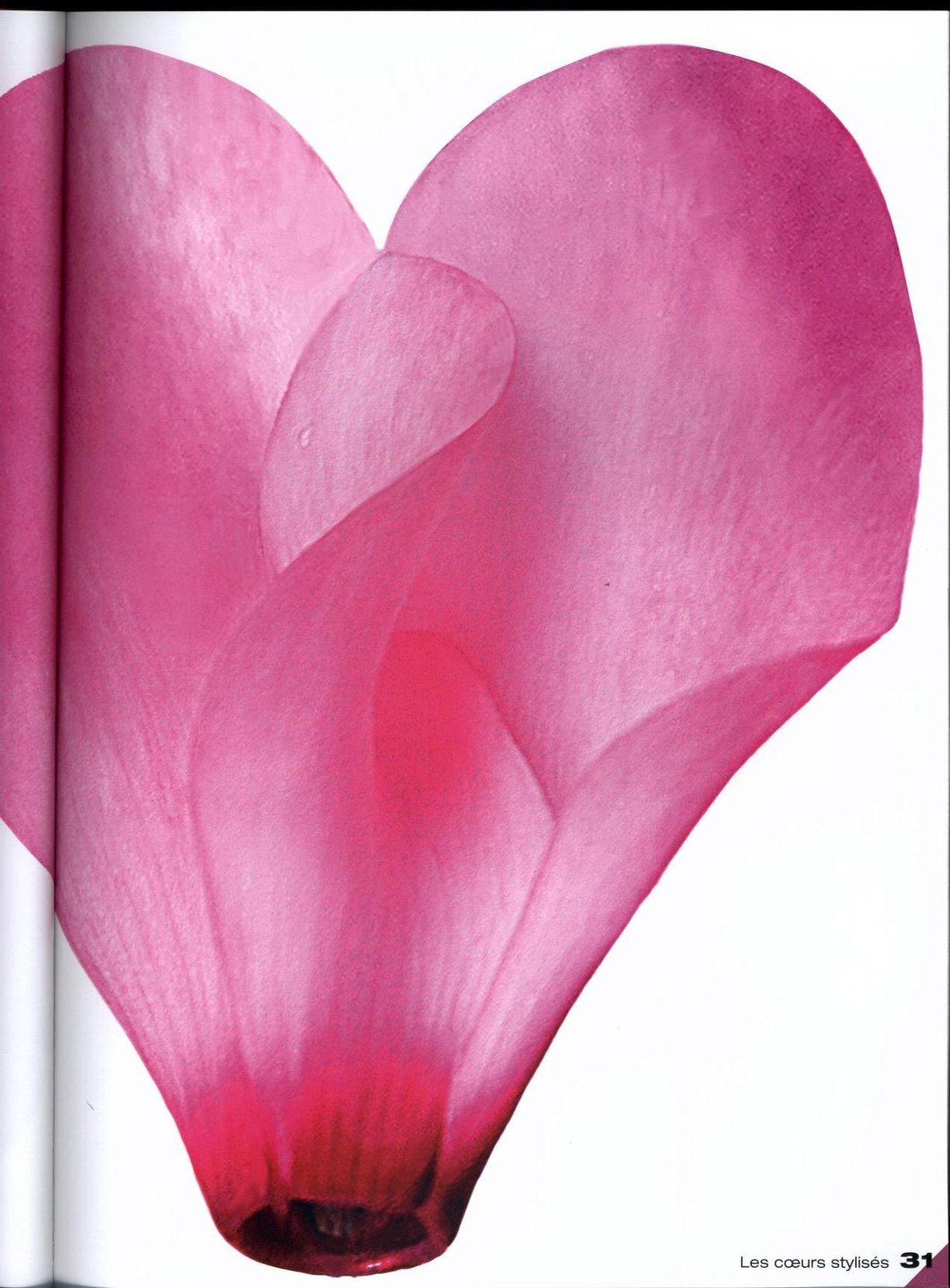 0031