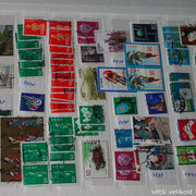 IMG-3764
