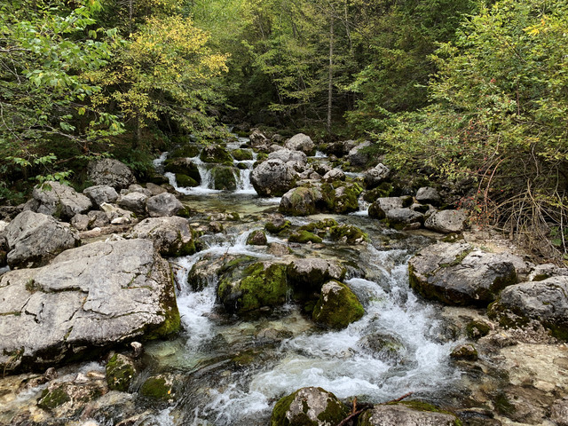 IMG-02401