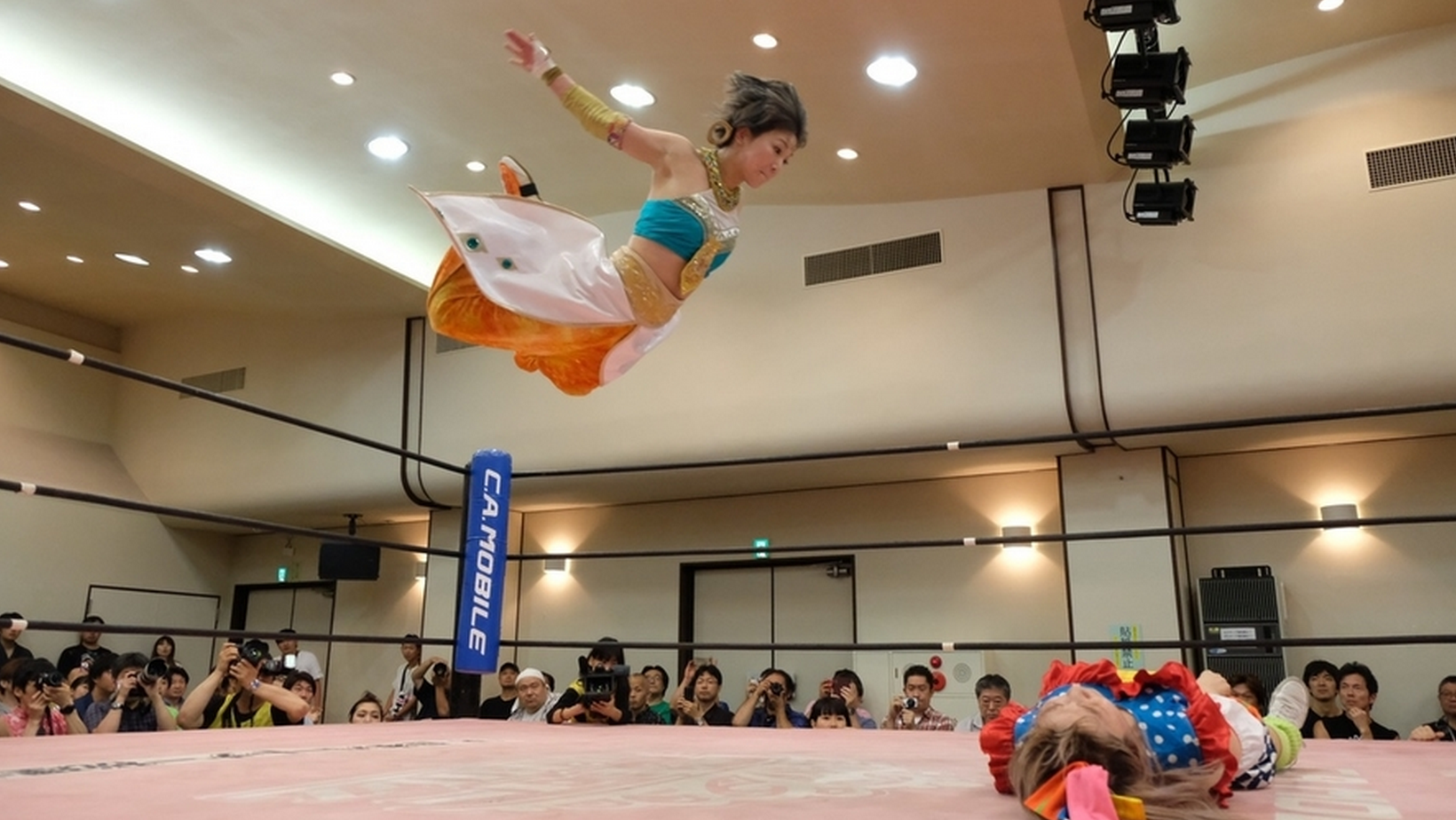Resumen Tokyo Joshi Pro Wrestling 10 de Agosto