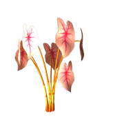 Twins72-Flower2
