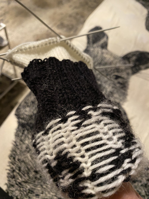 9-BD29-CAF-C0-E2-4-D21-BD04-FFE7-B23-B78