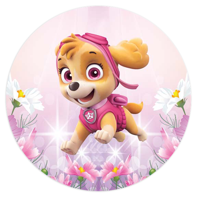 2102328-Patrulha-Canina-Rosa-Ana